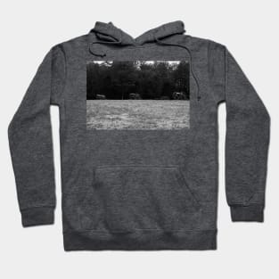 Hazel Grove Chancellorsville  Black and White Hoodie